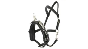 Equi Prene Lunge Cavesson