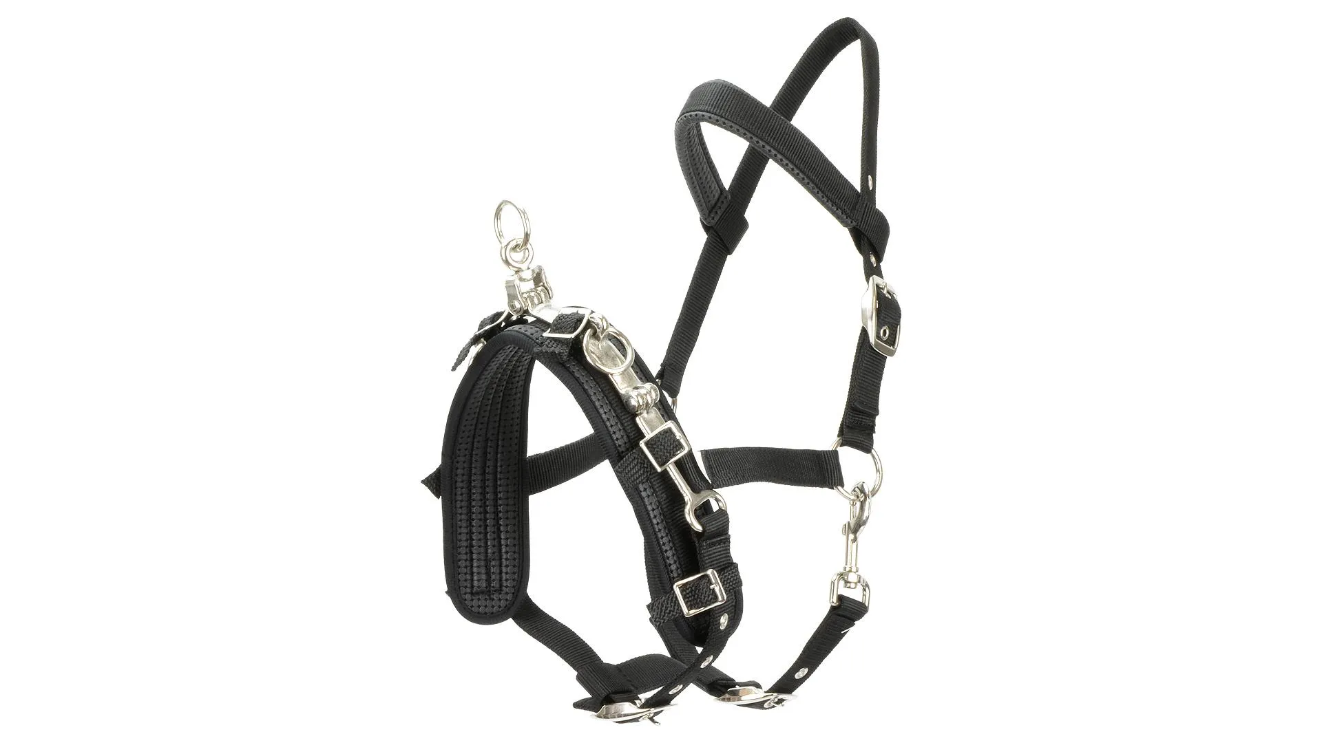 Equi Prene Lunge Cavesson