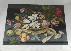 Melissa Shirley 1905 Still Life Shells