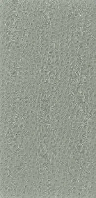 Nuostrich-11