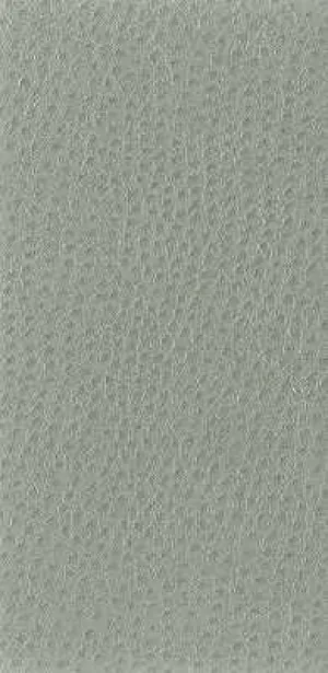 Nuostrich-11