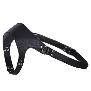 The Mercury Harness